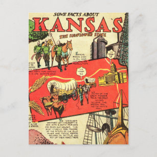 Kansas the Sunflower State Postcard