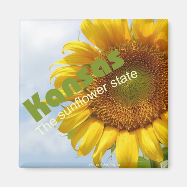 Kansas USA Sunflower State Souvenir Fridge Magnet (Front)
