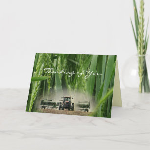Kansas Wheat 2862 3-2- customise any occasion Card