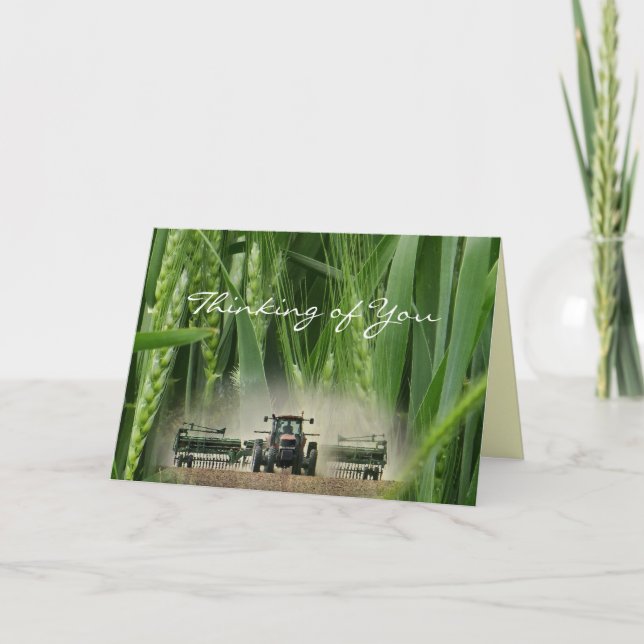 Kansas Wheat 2862 3-2- customise any occasion Card (Front)