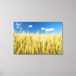 Kansas Wheat Canvas Print