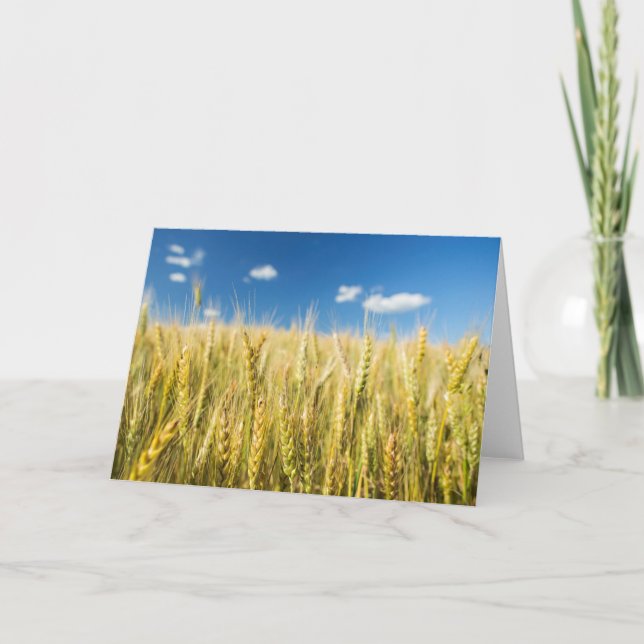 Kansas Wheat Card (Front)