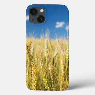 Kansas Wheat iPhone 13 Case