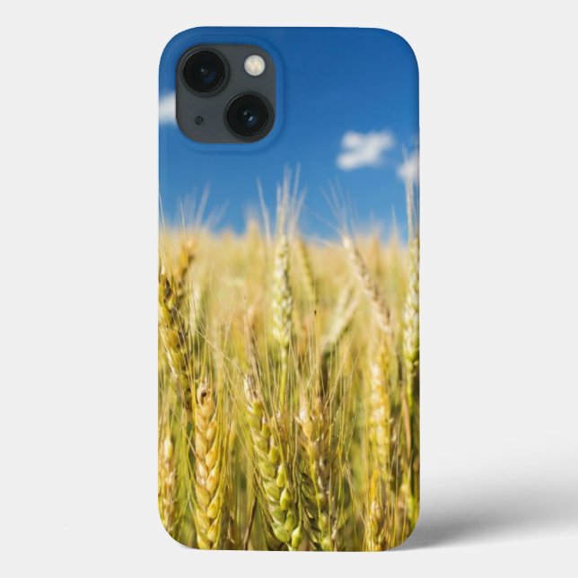 Kansas Wheat Case-Mate iPhone Case (Back)