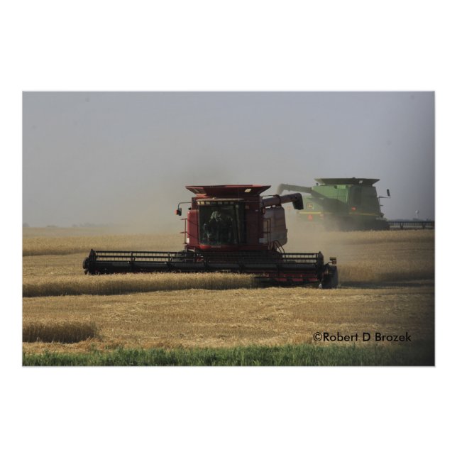 Kansas Wheat Harvest Photo Enlargement Print (Front)