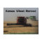 Kansas Wheat Harvest Post Card