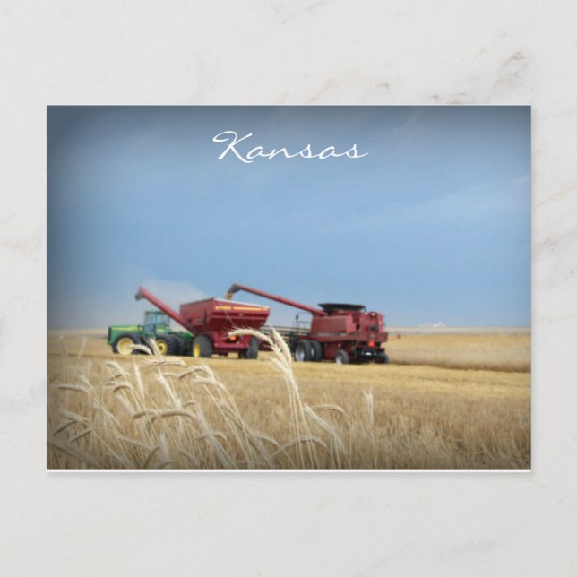 Kansas Wheat Harvest Postcard (Front)