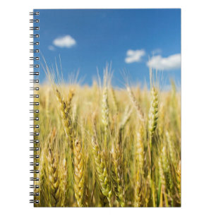 Kansas Wheat Notebook