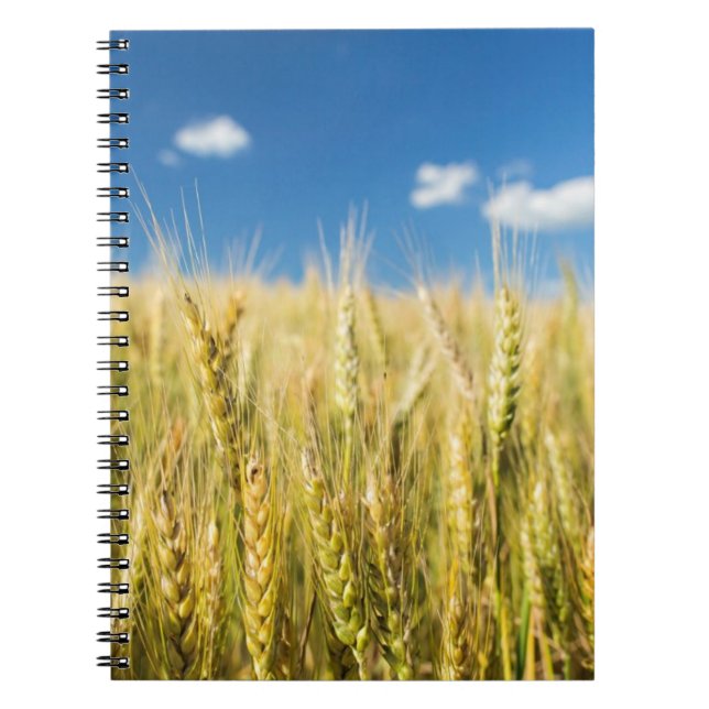 Kansas Wheat Notebook (Front)