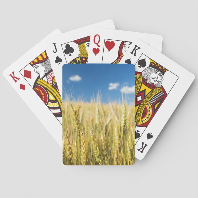 Kansas Wheat Playing Cards (Back)
