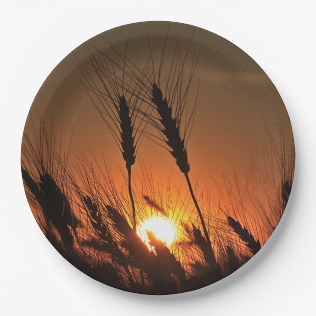 Kansas Wheat Sunset silhouette closeup Paper Plate (Front)
