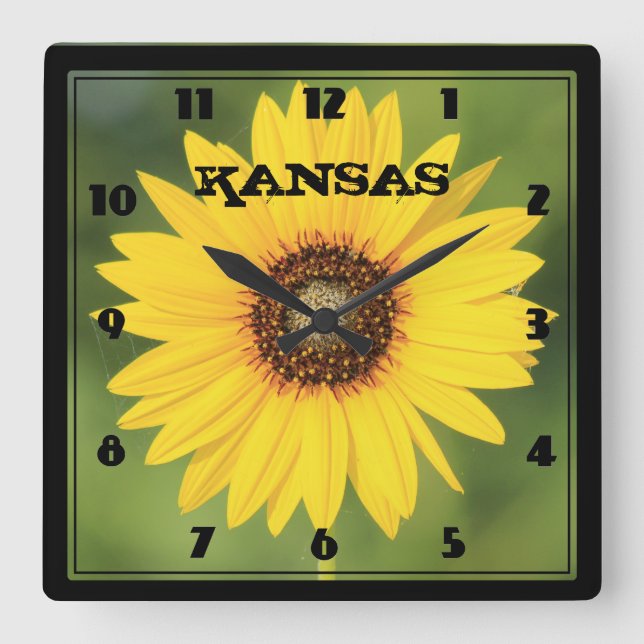 Kansas Wild Sunflower Closeup Square Clock (Front)
