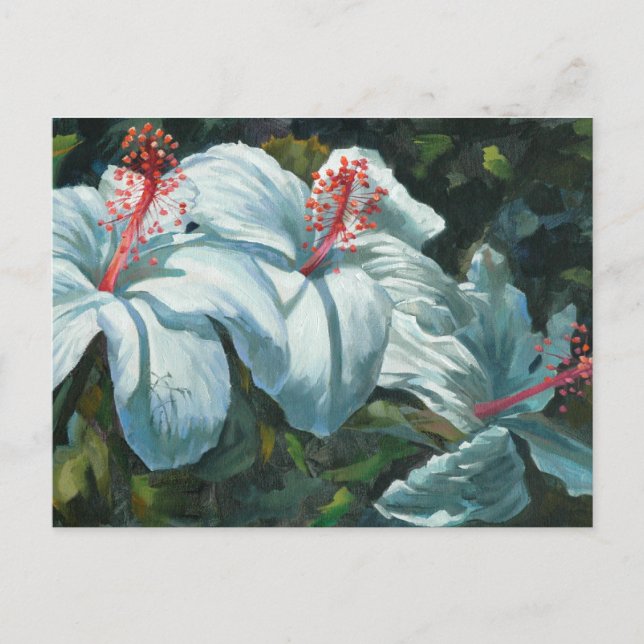 Kao Kao 6 Postcard (Front)