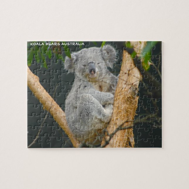 Kaola Bears Australia Jigsaw Puzzle (Horizontal)