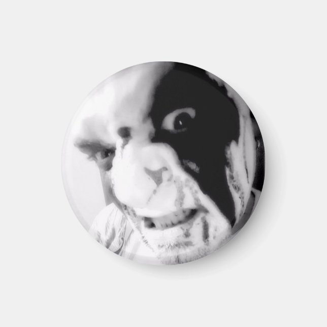 Kaos Anubis BLoody Face Good vs Evil Magnet (Front)