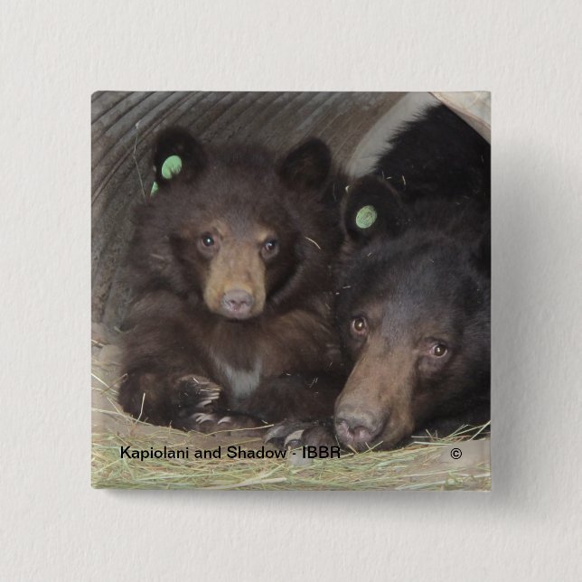 Kapiolani and Shadow - square button (Front)