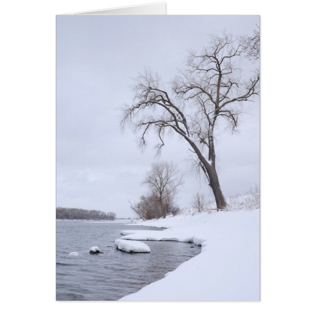 Kaposia Landing in Winter (Front)