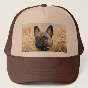Kappe französische Bulldogge Trucker Hat