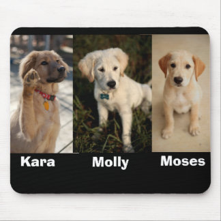 Kara wave, Moses, molly younger, Moses, Molly, ... Mouse Mat