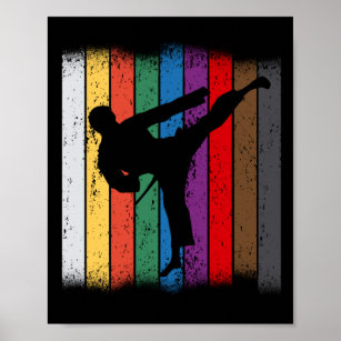 Karate Belt Colours Silhouette Poster