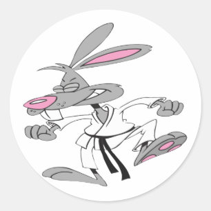 Karate-Bunny Classic Round Sticker