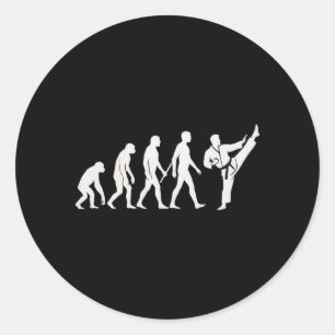Karate Evolution MMA Kickboxing Muay Thai Martial Classic Round Sticker