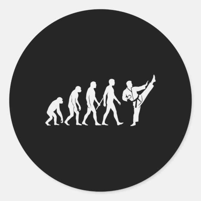 Karate Evolution MMA Kickboxing Muay Thai Martial Classic Round Sticker (Front)
