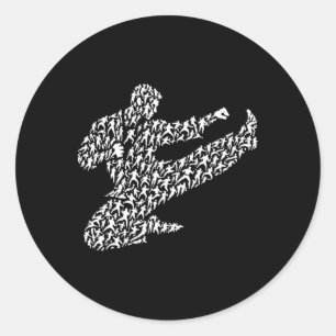 Karate Fighter And Kung Fu  Classic Round Sticker