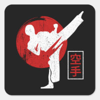 Karate Fighter Black Belt Karate Kick