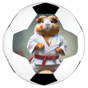 Karate Guinea Pig, Football