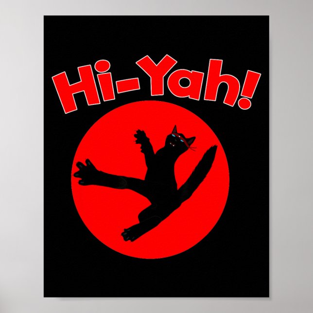 Karate Kiai Ninja Cat Martial Ar Poster (Front)
