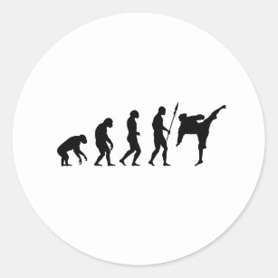 karate kick evolution classic round sticker