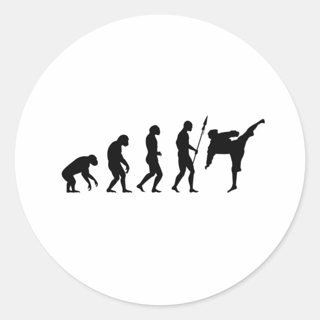 karate kick evolution classic round sticker (Front)