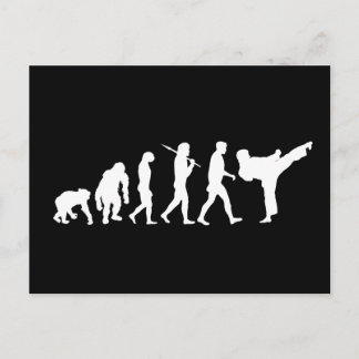Karate lovers Dojo training gift Postcard