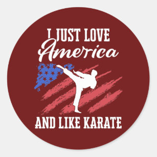 Karate Martial Arts USA Flag America  Classic Round Sticker