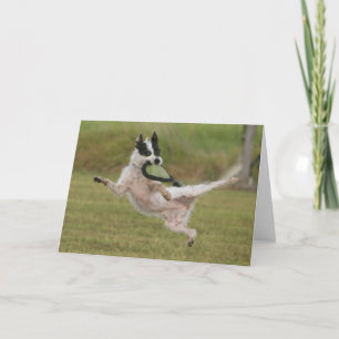 Karate', Photo Contest Winner Card