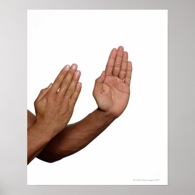 Karate Stance 2 Poster (Front)