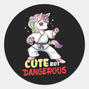 Karate Taekwondo Unicorn Gift Classic Round Sticker