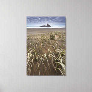 Karekare Beach   Panatahi Island, West Coast Canvas Print