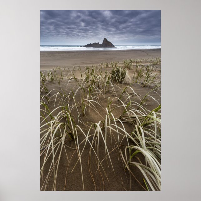 Karekare Beach | Panatahi Island, West Coast Poster (Front)