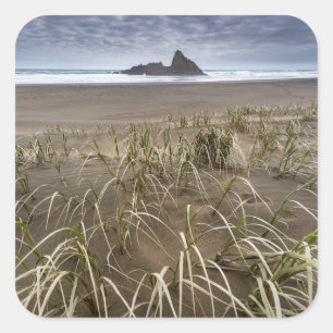 Karekare Beach   Panatahi Island, West Coast Square Sticker