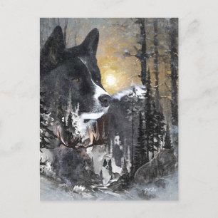 Karelian Bear Dog  Holiday Postcard