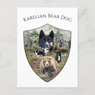 Karelian Bear Dog     Postcard