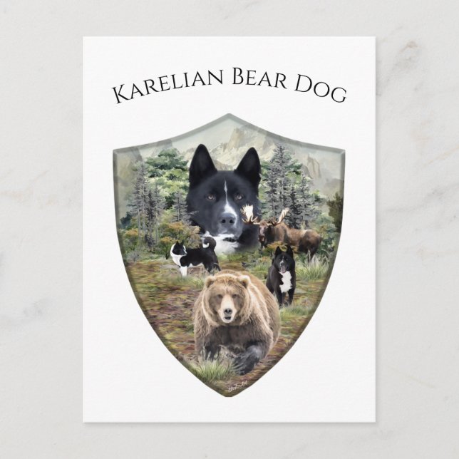 Karelian Bear Dog     Postcard (Front)