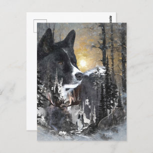 Karelian Bear Dog  Postcard