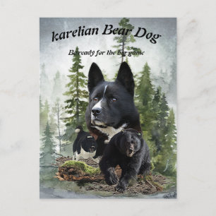 Karelian Bear Dog     Postcard