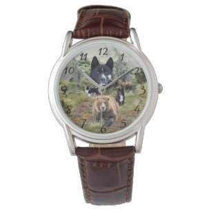 Karelian Bear Dog Watch