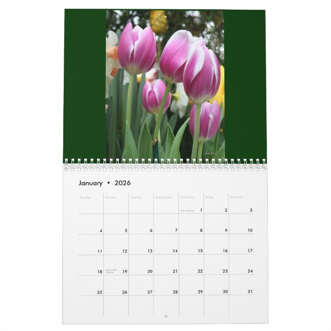 Karen's Calendar!  2011 Calendar (Jan 2026)