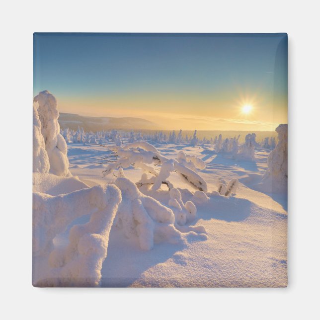 Karkonosze Mountains, National Park Magnet (Front)