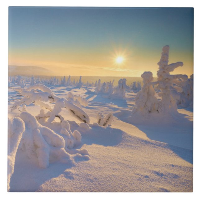 Karkonosze Mountains, National Park Tile (Front)